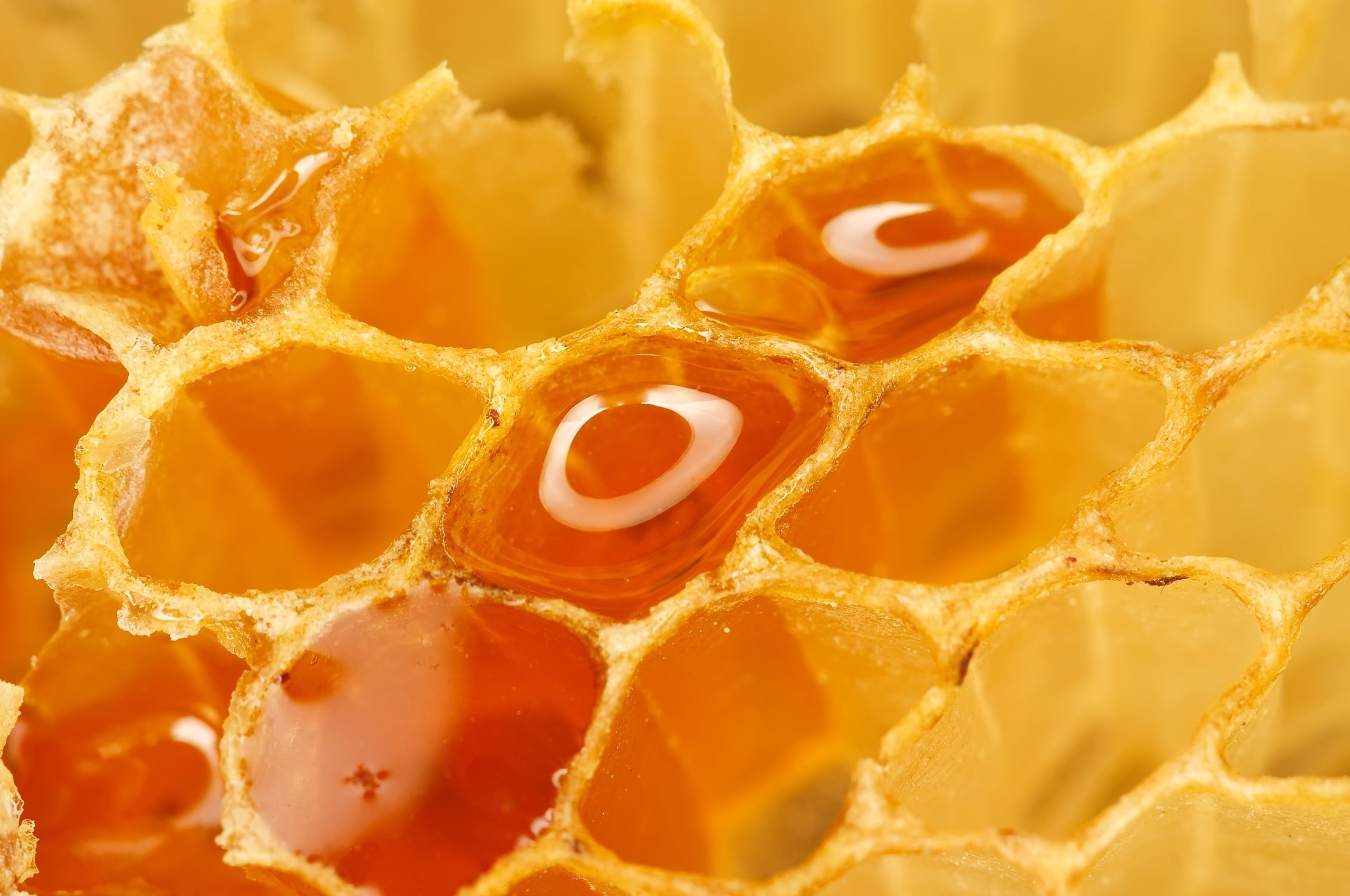 HONEY ENZYME FACIAL