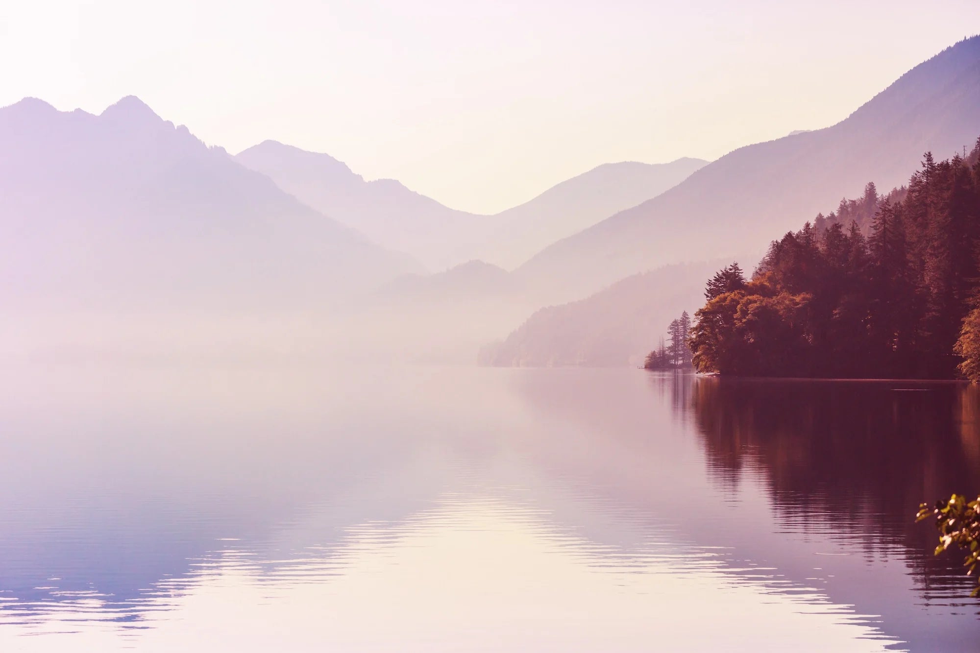 Holistic Wellness Services in Vail Colorado